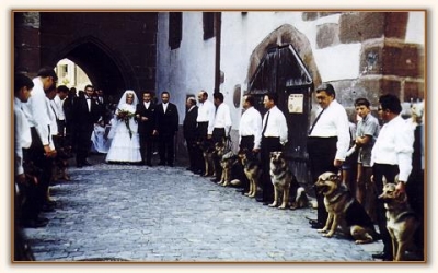 Hochzeit 1967